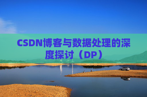 CSDN博客与数据处理的深度探讨（DP）